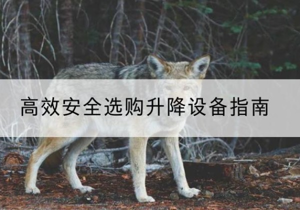 洞口升降货梯厂家推荐-*安全选购升降设备指南
