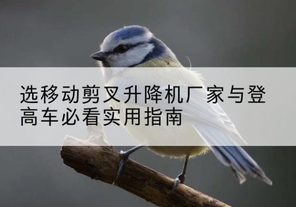 洞口电动升降机厂家-选移动剪叉升降机厂家与登高车必看实用指南